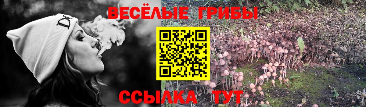 Галлюциногенные грибы ЛСД  Вход с VPN  сколько стоит  Набережные Челны 
